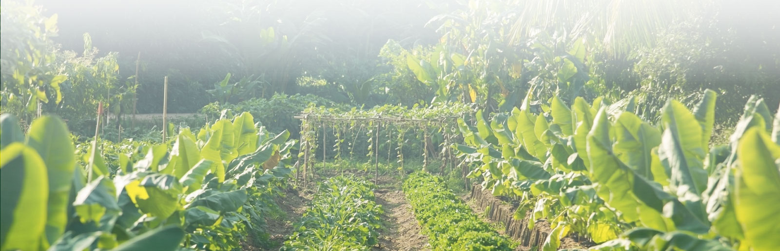 Bharathi Tourism Co-op About Banner